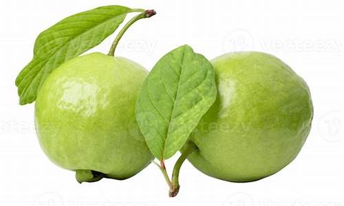 guava 源码下载